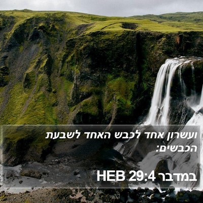 במדבר 29:4 HEB Bible Verse Image