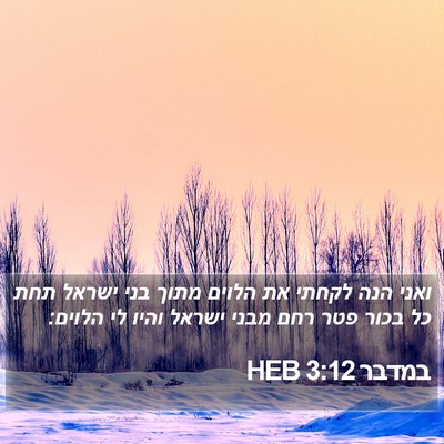 במדבר 3:12 HEB Bible Verse Image