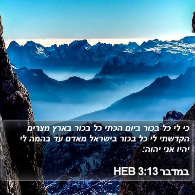 במדבר 3:13 HEB Bible Verse Image