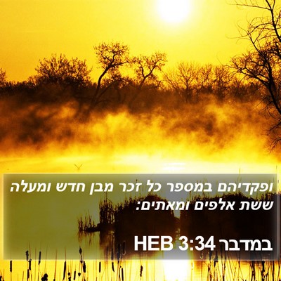 במדבר 3:34 HEB Bible Verse Image