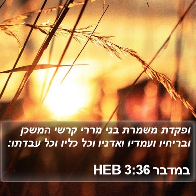 במדבר 3:36 HEB Bible Verse Image