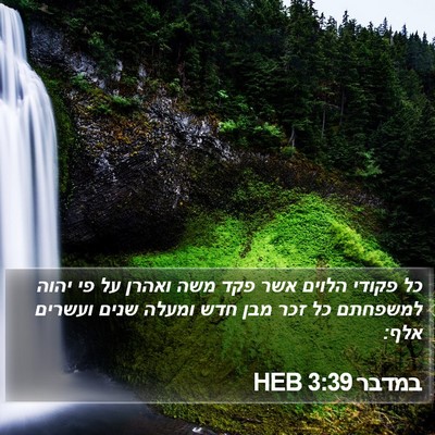 במדבר 3:39 HEB Bible Verse Image