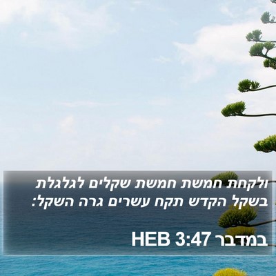 במדבר 3:47 HEB Bible Verse Image