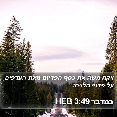 במדבר 3:49 HEB Bible Verse Image