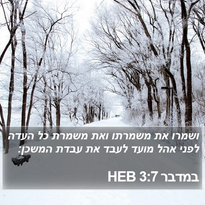 במדבר 3:7 HEB Bible Verse Image
