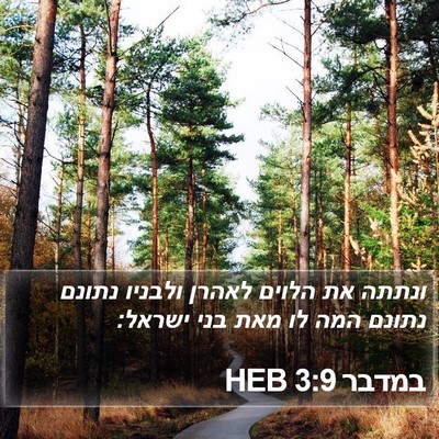 במדבר 3:9 HEB Bible Verse Image