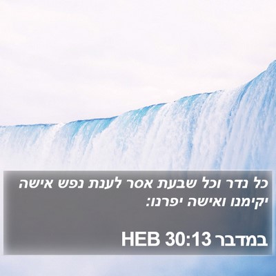 במדבר 30:13 HEB Bible Verse Image