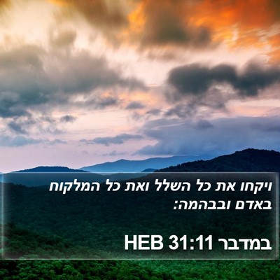 במדבר 31:11 HEB Bible Verse Image