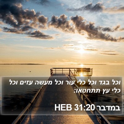 במדבר 31:20 HEB Bible Verse Image