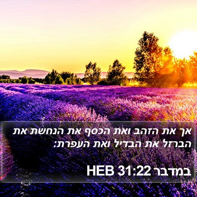 במדבר 31:22 HEB Bible Verse Image