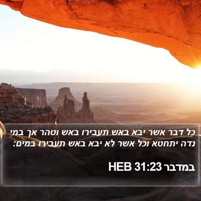 במדבר 31:23 HEB Bible Verse Image
