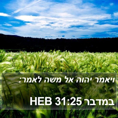 במדבר 31:25 HEB Bible Verse Image