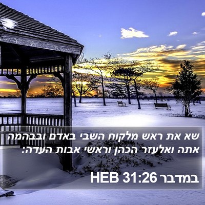 במדבר 31:26 HEB Bible Verse Image