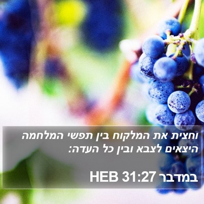 במדבר 31:27 HEB Bible Verse Image