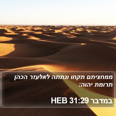במדבר 31:29 HEB Bible Verse Image