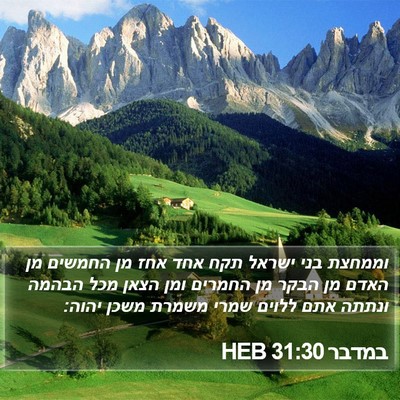 במדבר 31:30 HEB Bible Verse Image