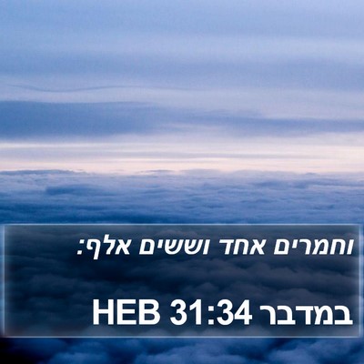 במדבר 31:34 HEB Bible Verse Image