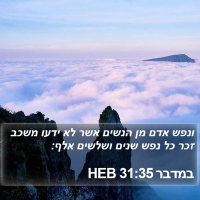 במדבר 31:35 HEB Bible Verse Image