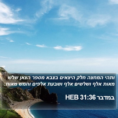 במדבר 31:36 HEB Bible Verse Image