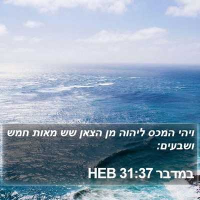 במדבר 31:37 HEB Bible Verse Image