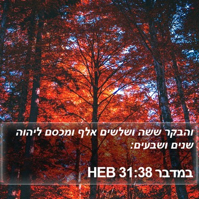 במדבר 31:38 HEB Bible Verse Image