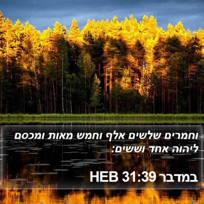 במדבר 31:39 HEB Bible Verse Image