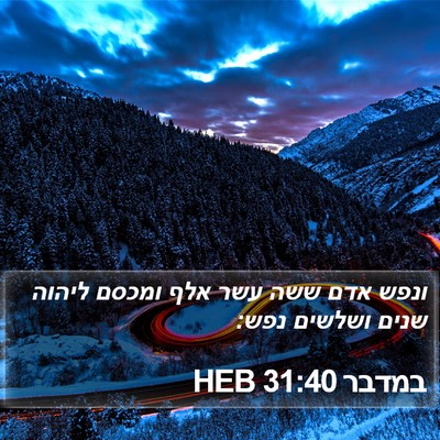 במדבר 31:40 HEB Bible Verse Image