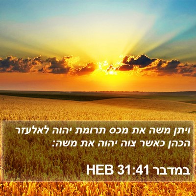 במדבר 31:41 HEB Bible Verse Image