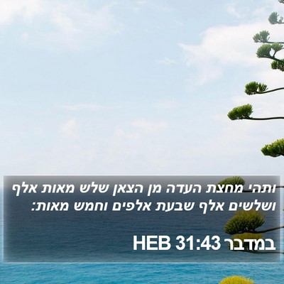 במדבר 31:43 HEB Bible Verse Image