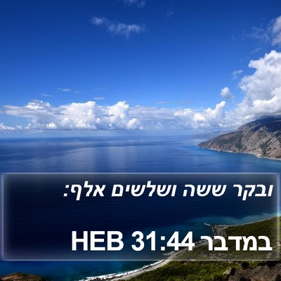 במדבר 31:44 HEB Bible Verse Image