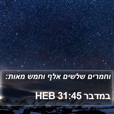 במדבר 31:45 HEB Bible Verse Image