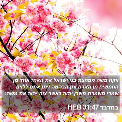 במדבר 31:47 HEB Bible Verse Image