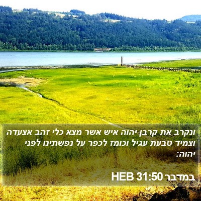 במדבר 31:50 HEB Bible Verse Image