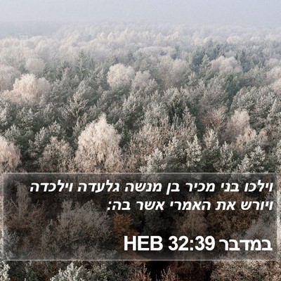 במדבר 32:39 HEB Bible Verse Image