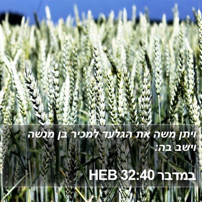 במדבר 32:40 HEB Bible Verse Image