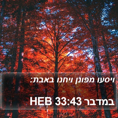 במדבר 33:43 HEB Bible Verse Image