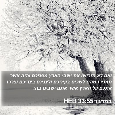 במדבר 33:55 HEB Bible Verse Image