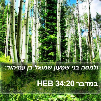 במדבר 34:20 HEB Bible Verse Image