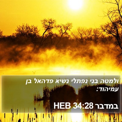 במדבר 34:28 HEB Bible Verse Image