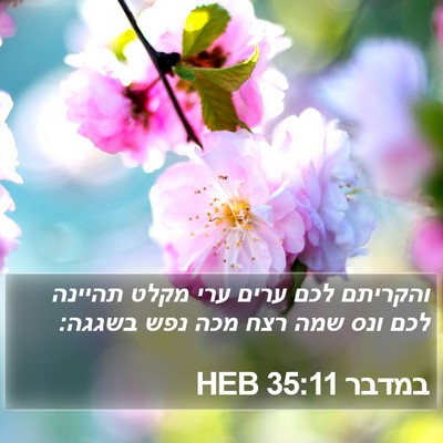 במדבר 35:11 HEB Bible Verse Image