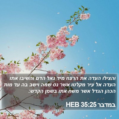 במדבר 35:25 HEB Bible Verse Image