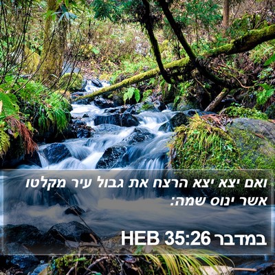 במדבר 35:26 HEB Bible Verse Image