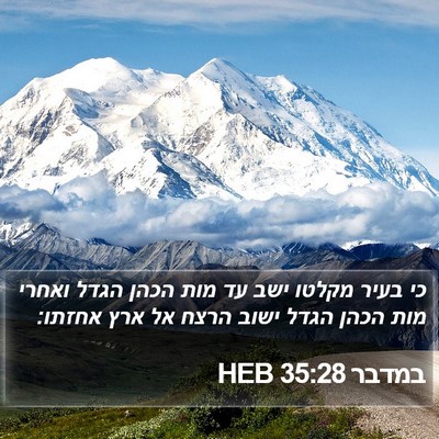 במדבר 35:28 HEB Bible Verse Image