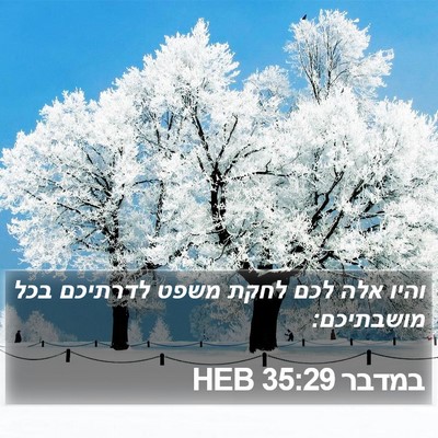 במדבר 35:29 HEB Bible Verse Image