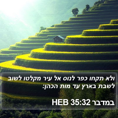 במדבר 35:32 HEB Bible Verse Image