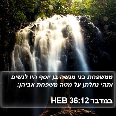 במדבר 36:12 HEB Bible Verse Image