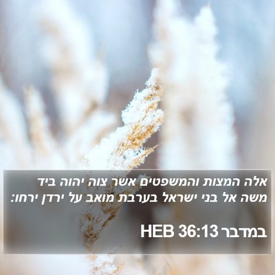 במדבר 36:13 HEB Bible Verse Image