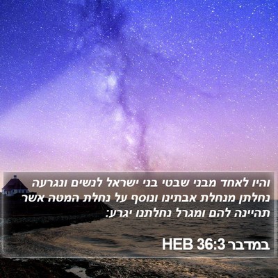 במדבר 36:3 HEB Bible Verse Image