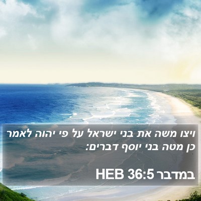 במדבר 36:5 HEB Bible Verse Image