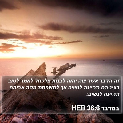 במדבר 36:6 HEB Bible Verse Image